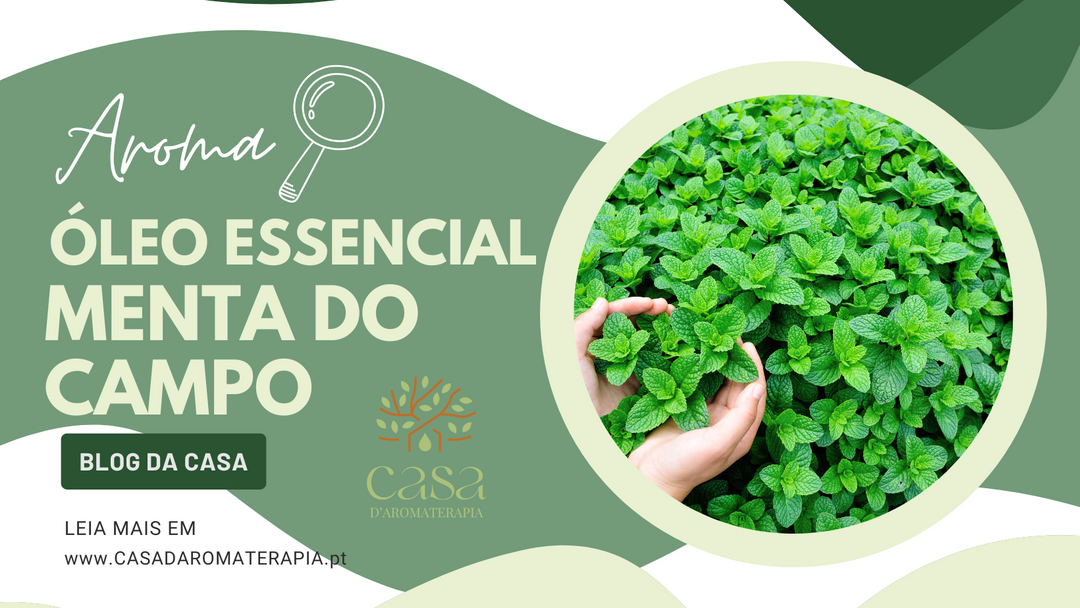 AromaLupa 🔎 Óleo Essencial de Menta do Campo