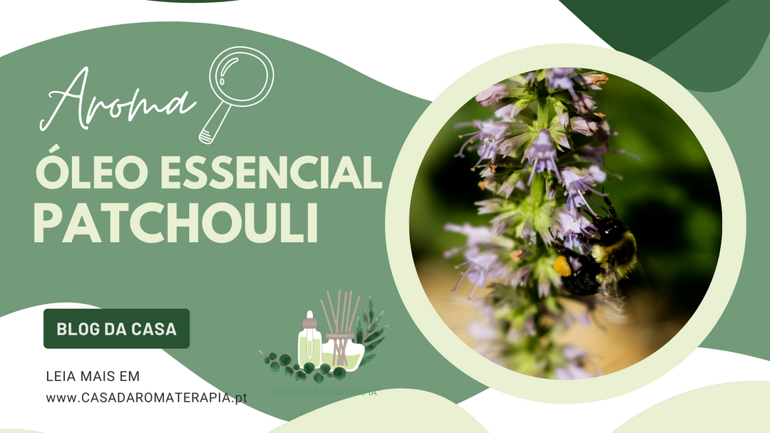 AromaLupa 🔎 Óleo Essencial de Patchouli