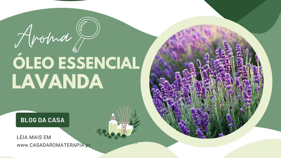 AromaLupa 🔎 Óleo Essencial de Lavanda