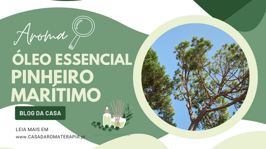 AromaLupa 🔎 Óleo Essencial de Pinheiro Maritimo