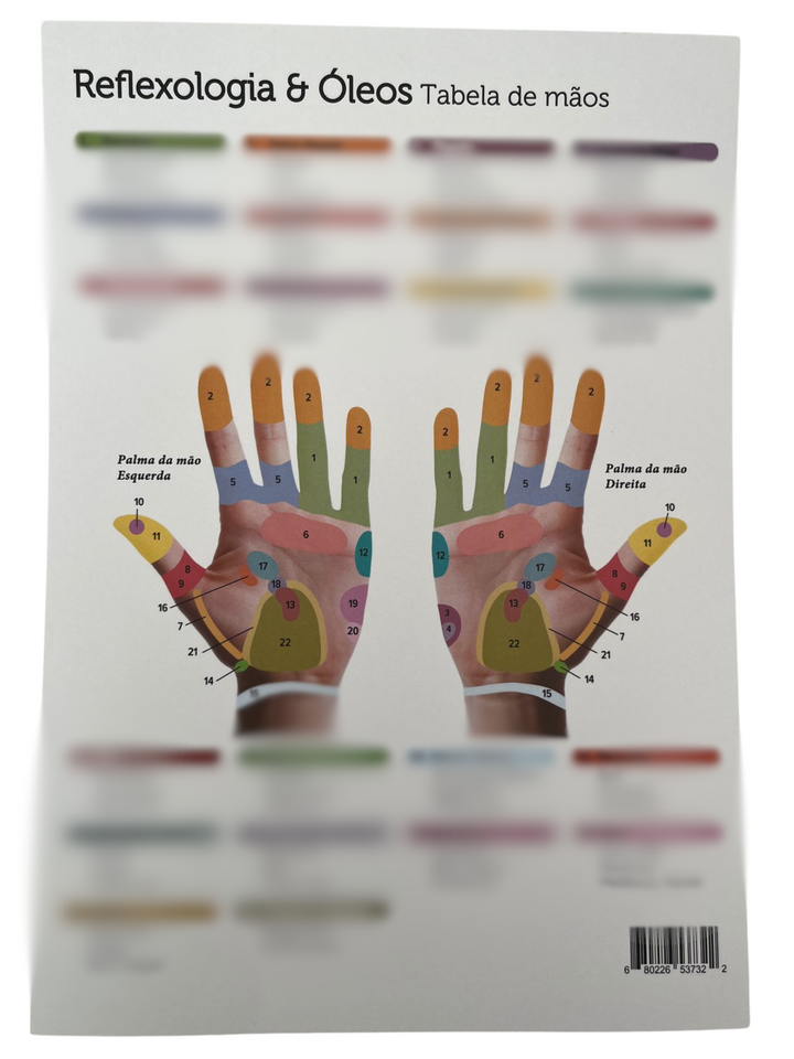 Cartaz Reflexologia Mãos e Pés (Português)