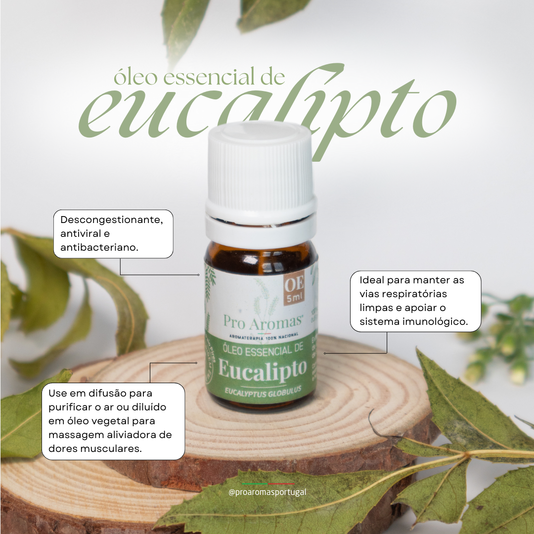 Eucalyptus Globulus Essential Oil PT BIO