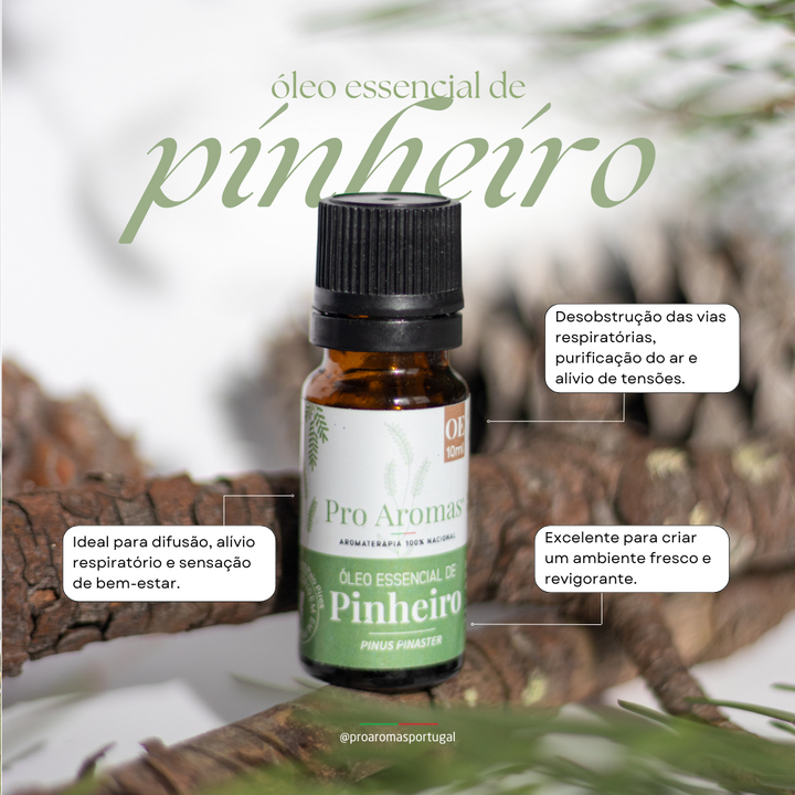 Pine Essential Oil PT BIO 