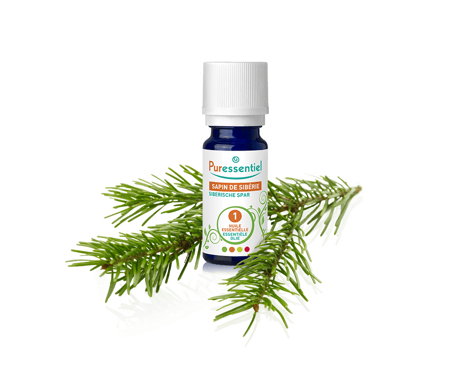 Óleo Essencial de Abeto Siberiano 10ml bio | Abies sibirica