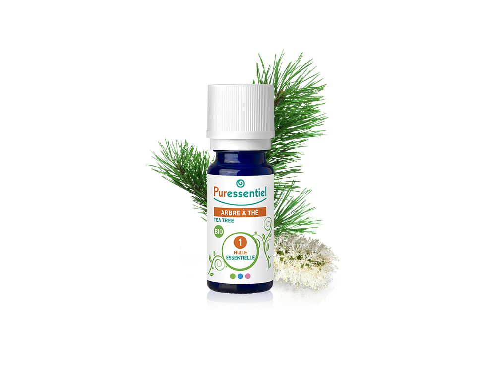 Óleo Essencial de Árvore do Chá BIO 10ml bio | Melaleuca alternifolia