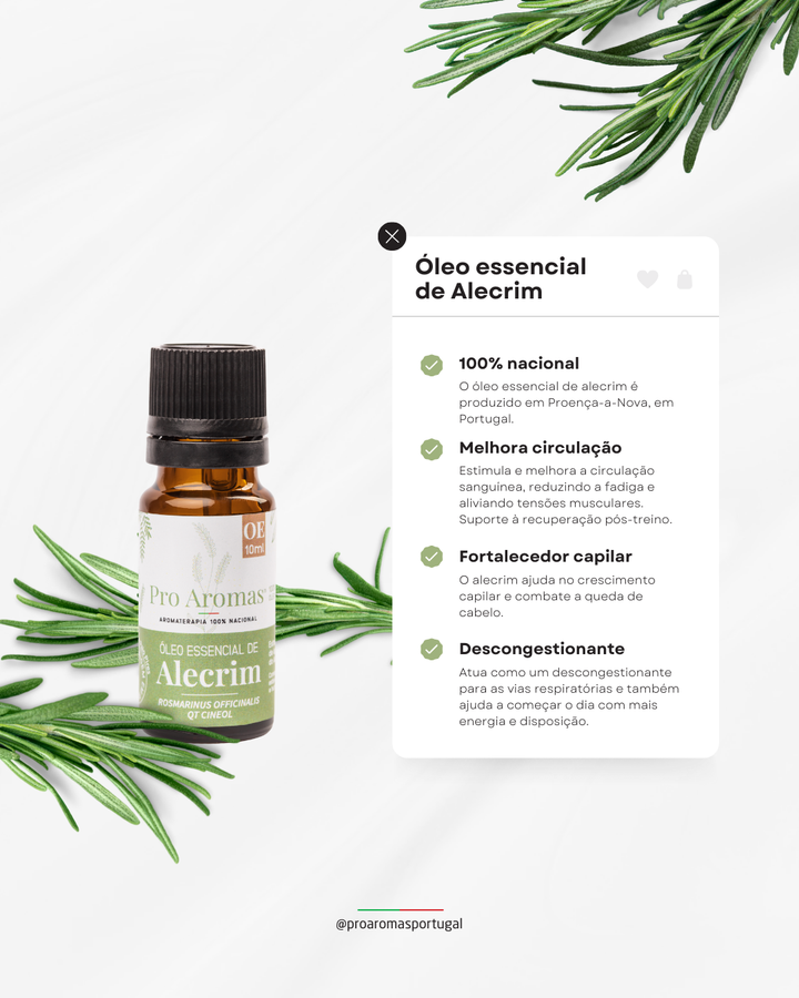 Rosemary Essential Oil QT Cineol PT BIO