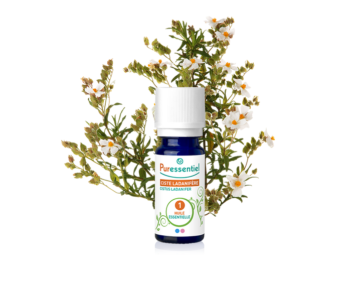 Óleo Essencial de Esteva 5ml bio | Cistus ladaniferus