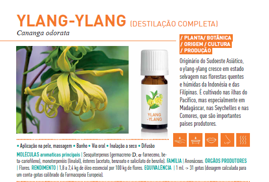 Óleo Essencial Ylang Ylang 5ml bio | Cananga odorata