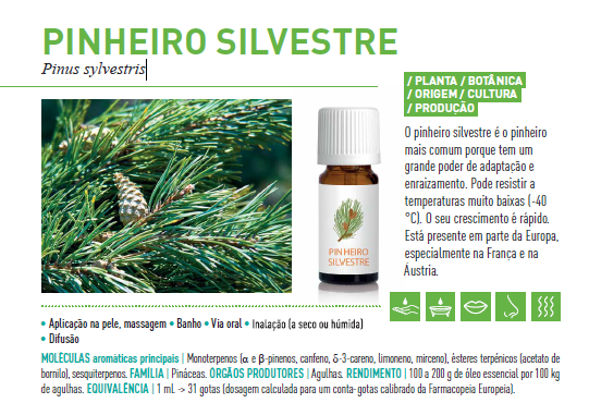 Óleo Essencial de Pinheiro Silvestre 5ml bio | Pinus sylvestris