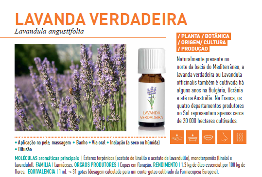 Óleo Essencial de Lavanda Verdadeira 10ml  bio | Lavandula Angustifolia