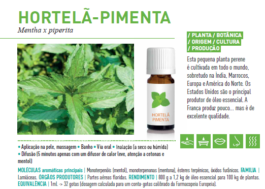 Óleo Essencial de Hortelã-Pimenta 10 ml bio | Mentha X piperita