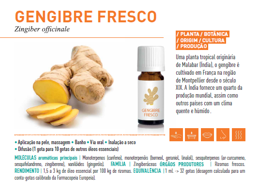 Óleo Essencial de Gengibre 5ml bio | Zingiber officinale