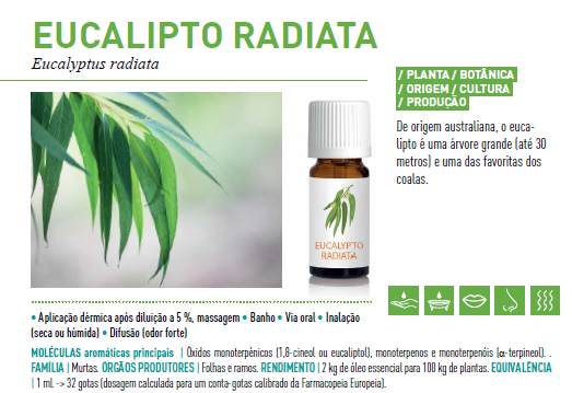 Óleo Essencial de Eucalipto Radiata 10ml bio | Eucalyptus radiata