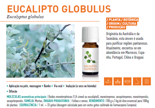 Óleo Essencial de Eucalipto Globulus 10ml bio | Eucalyptus globulus