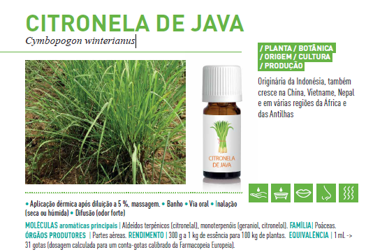 Óleo Essencial de Citronela de Java BIO  10ml | Cymbopogon winterianus