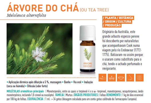 Óleo Essencial de Árvore do Chá BIO 10ml bio | Melaleuca alternifolia