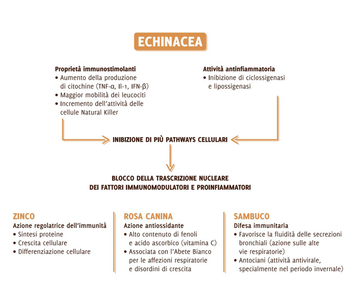 Suplemento natural Infantil - Imunomodulador +3A | Bimbi forti (Validade 01/25)