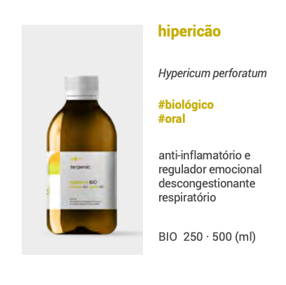 Hydrolat de millepertuis 250ml 🌿 bio | oral