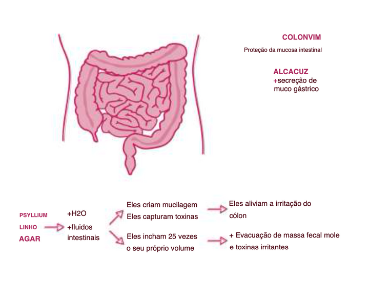 Suplemento Natural - Colon Irritiado | COLONVIN 100G ***