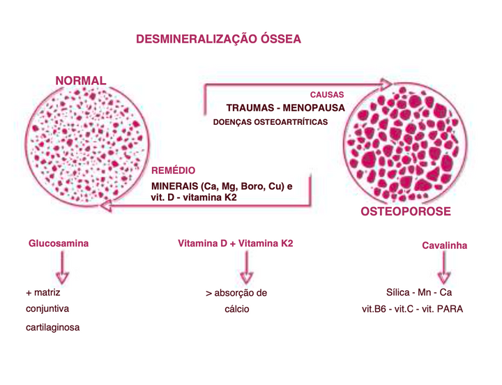 Suplemento Natural - Absorção Cálcio | OSSEOVIN 60CPR **