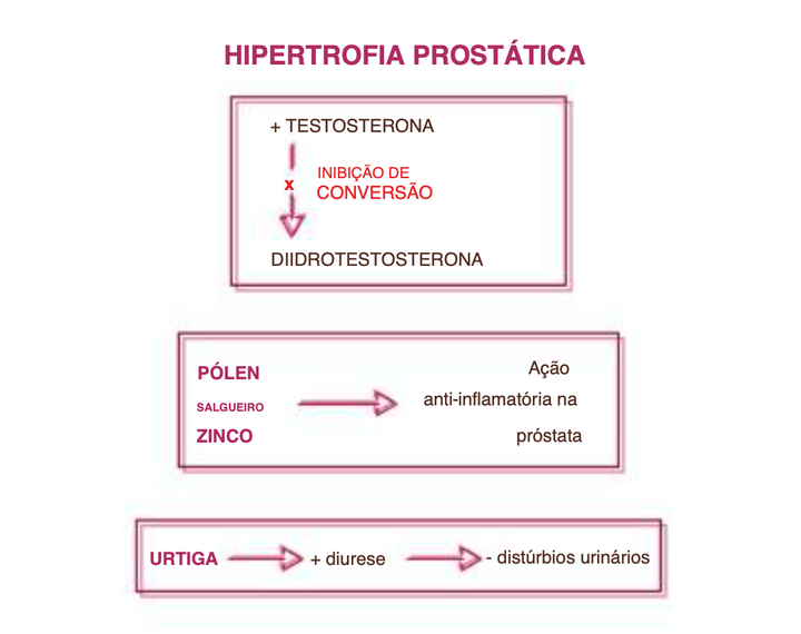 Suplemento Natural - Próstata | PROSTVIN 60CPR ***