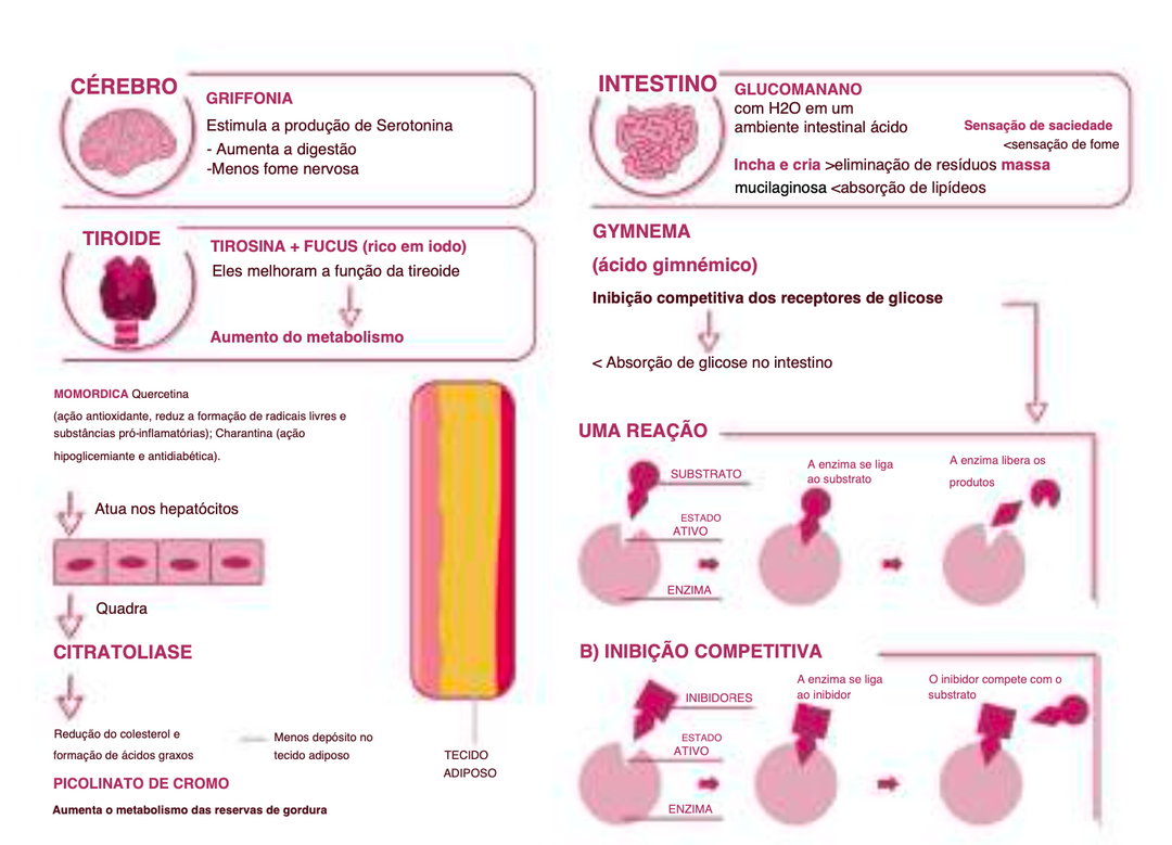 Suplemento Natural - Controlo Peso | CONTROKAL 60cps ***