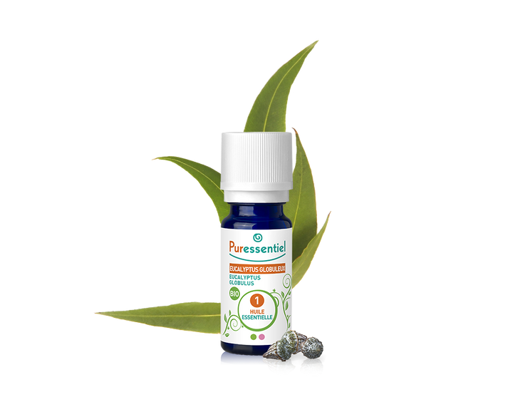 Óleo Essencial de Eucalipto Globulus 10ml bio | Eucalyptus globulus