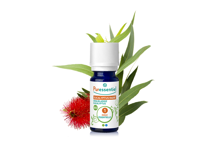 Óleo Essencial de Eucalipto Radiata 10ml bio | Eucalyptus radiata