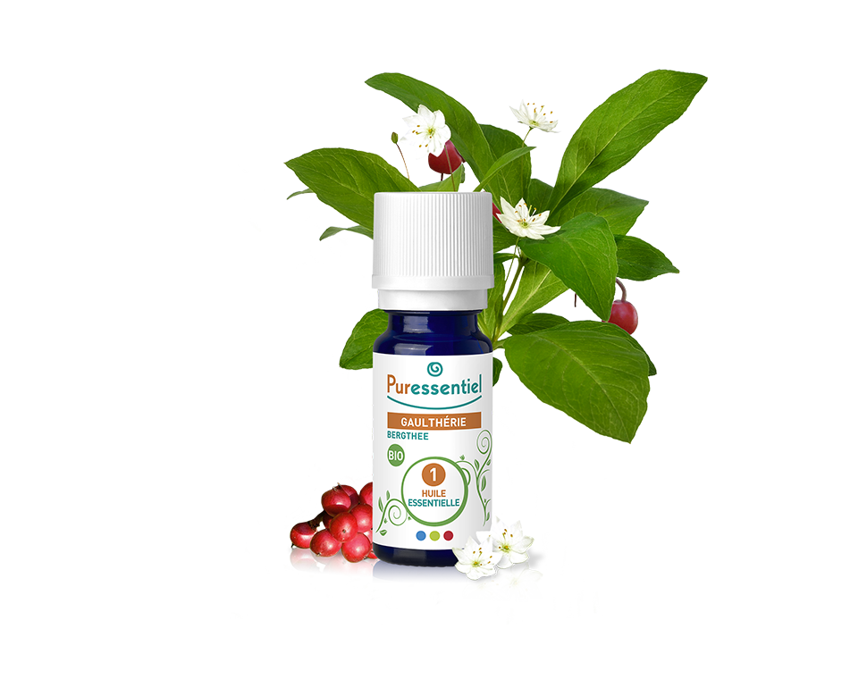 Óleo Essencial de Gualtéria 10ml bio | Gaultheria fragrantissima