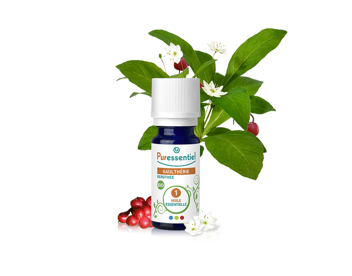 Óleo Essencial de Gualtéria 10ml bio | Gaultheria fragrantissima