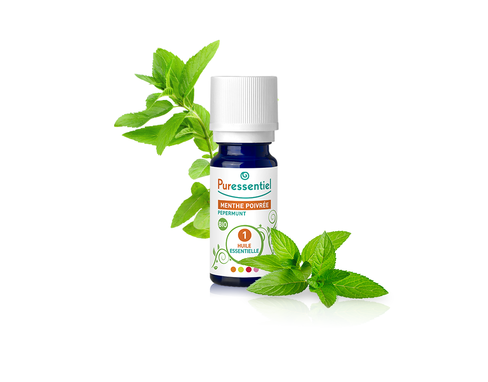 Óleo Essencial de Hortelã-Pimenta 10 ml bio | Mentha X piperita