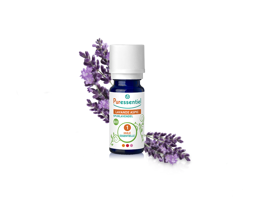 Óleo Essencial de Lavanda Latifolia 10ml bio | Lavandula Latifola