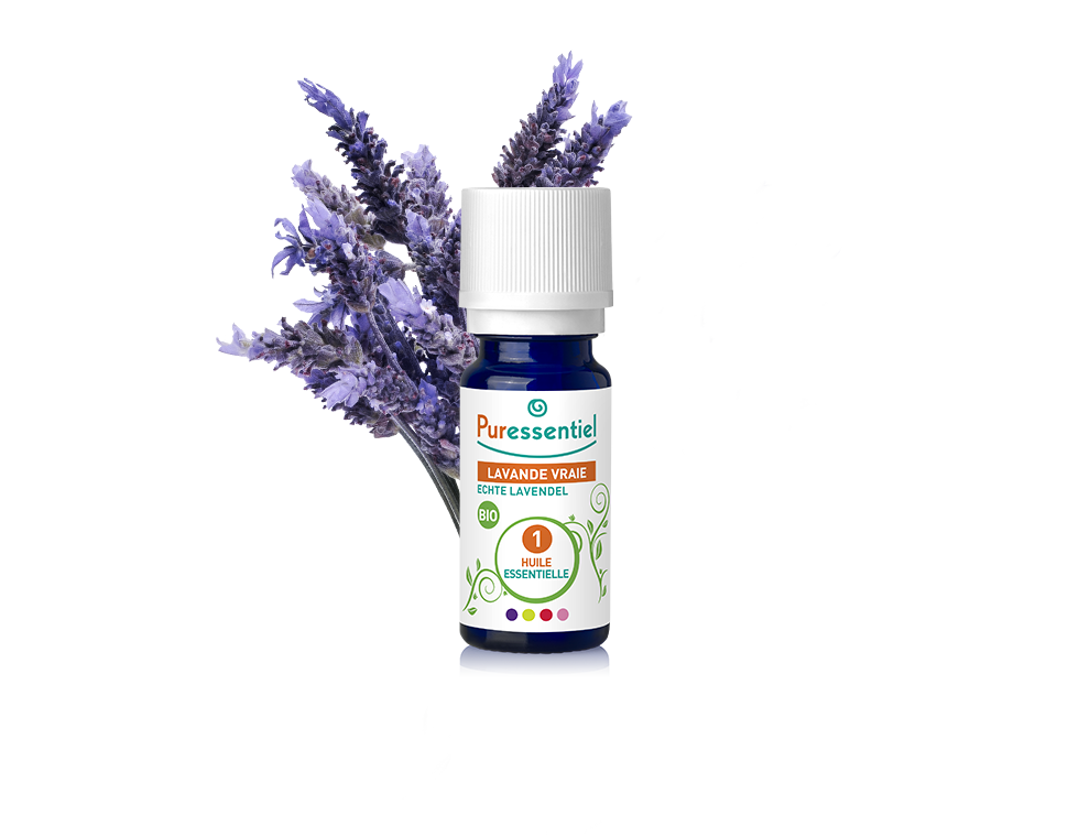 Óleo Essencial de Lavanda Verdadeira 10ml  bio | Lavandula Angustifolia