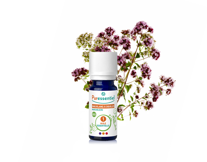 Óleo Essencial de Manjerona 5ml bio | Origanum majorana