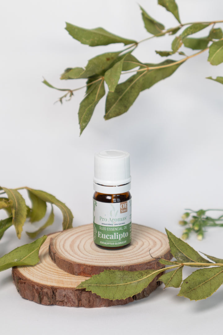 Huile Essentielle Eucalyptus Globulus PT BIO