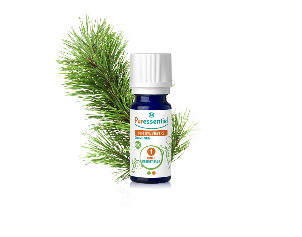 Óleo Essencial de Pinheiro Silvestre 5ml bio | Pinus sylvestris