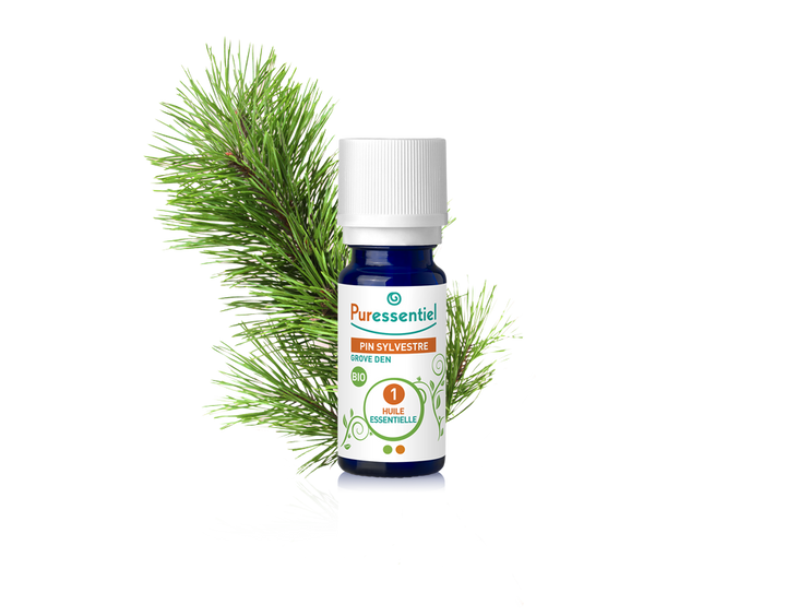 Óleo Essencial de Pinheiro Silvestre 5ml bio | Pinus sylvestris