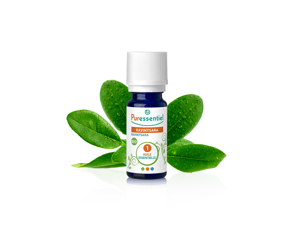 Óleo Essencial de Ravintsara 10ml bio | Cinnamomum camphora