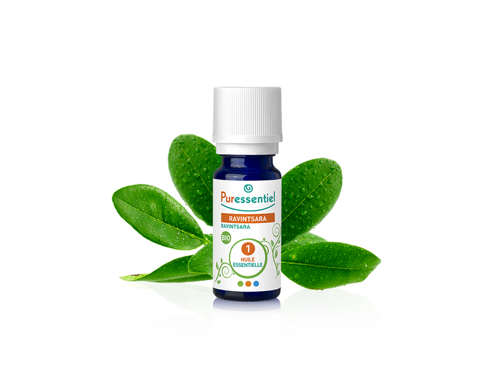 Óleo Essencial de Ravintsara 10ml bio | Cinnamomum camphora