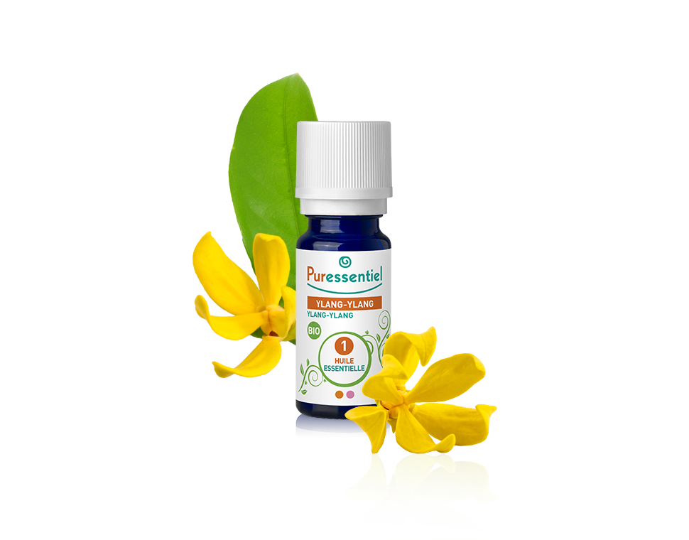 Óleo Essencial Ylang Ylang 5ml bio | Cananga odorata