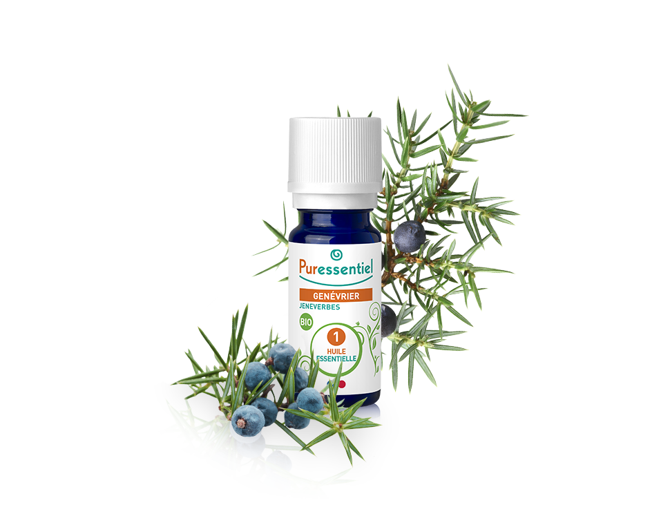 Óleo Essencial Zimbro 5ml bio  | Juniperus communis