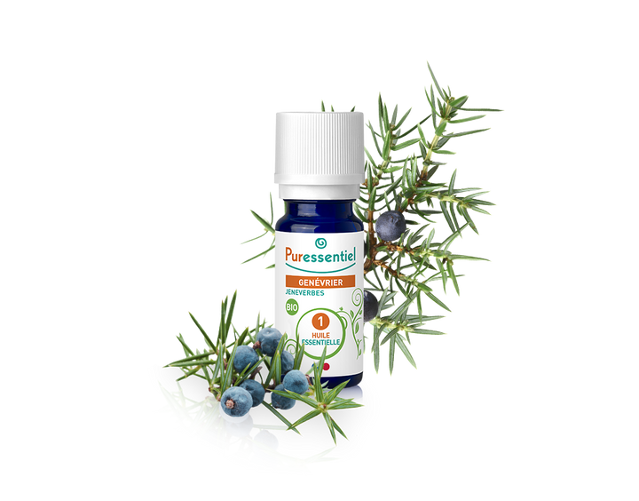 Óleo Essencial Zimbro 5ml bio  | Juniperus communis