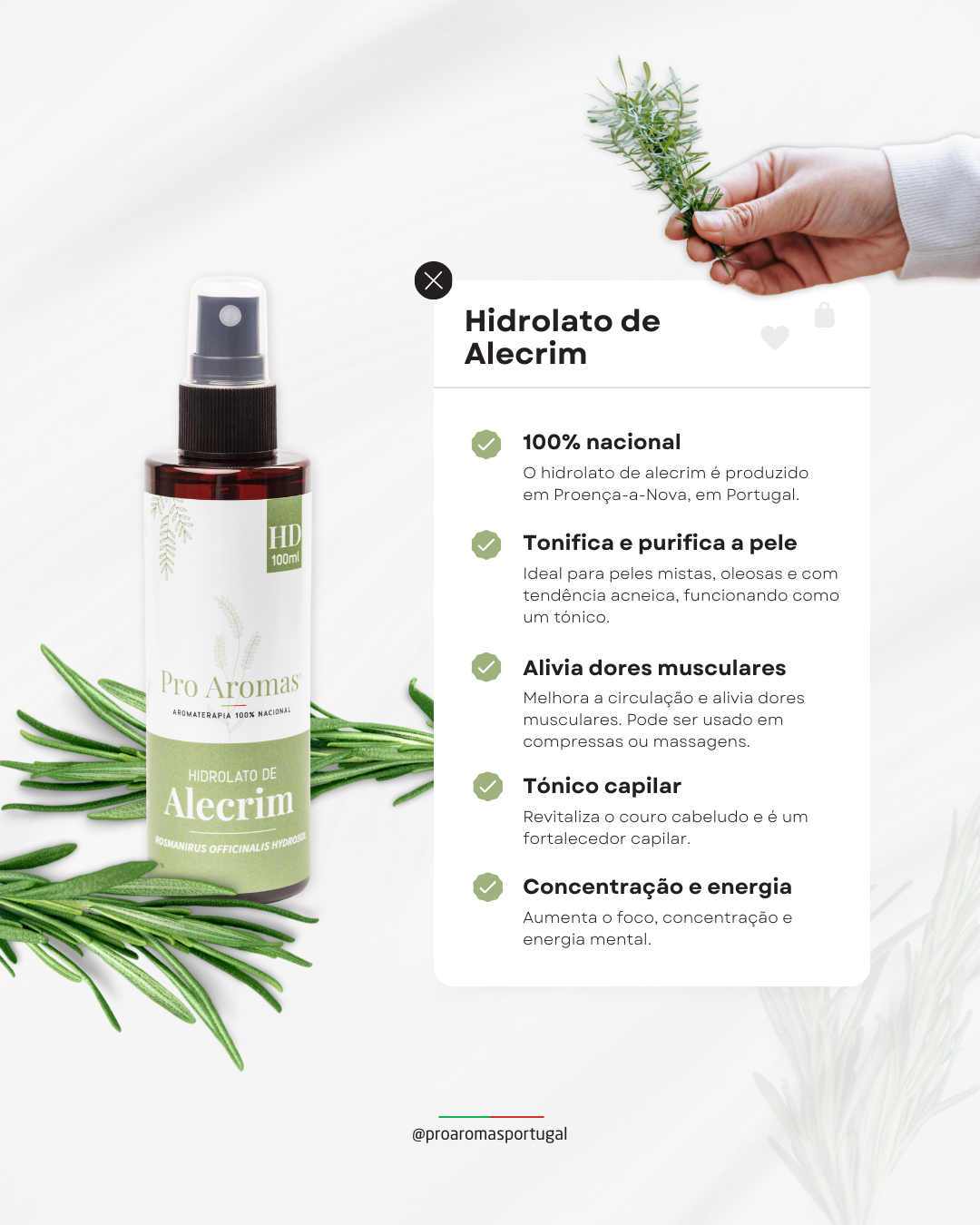 Hidrolato de Alecrim (QT Cânfora) BIO 100% Português – ProAromas