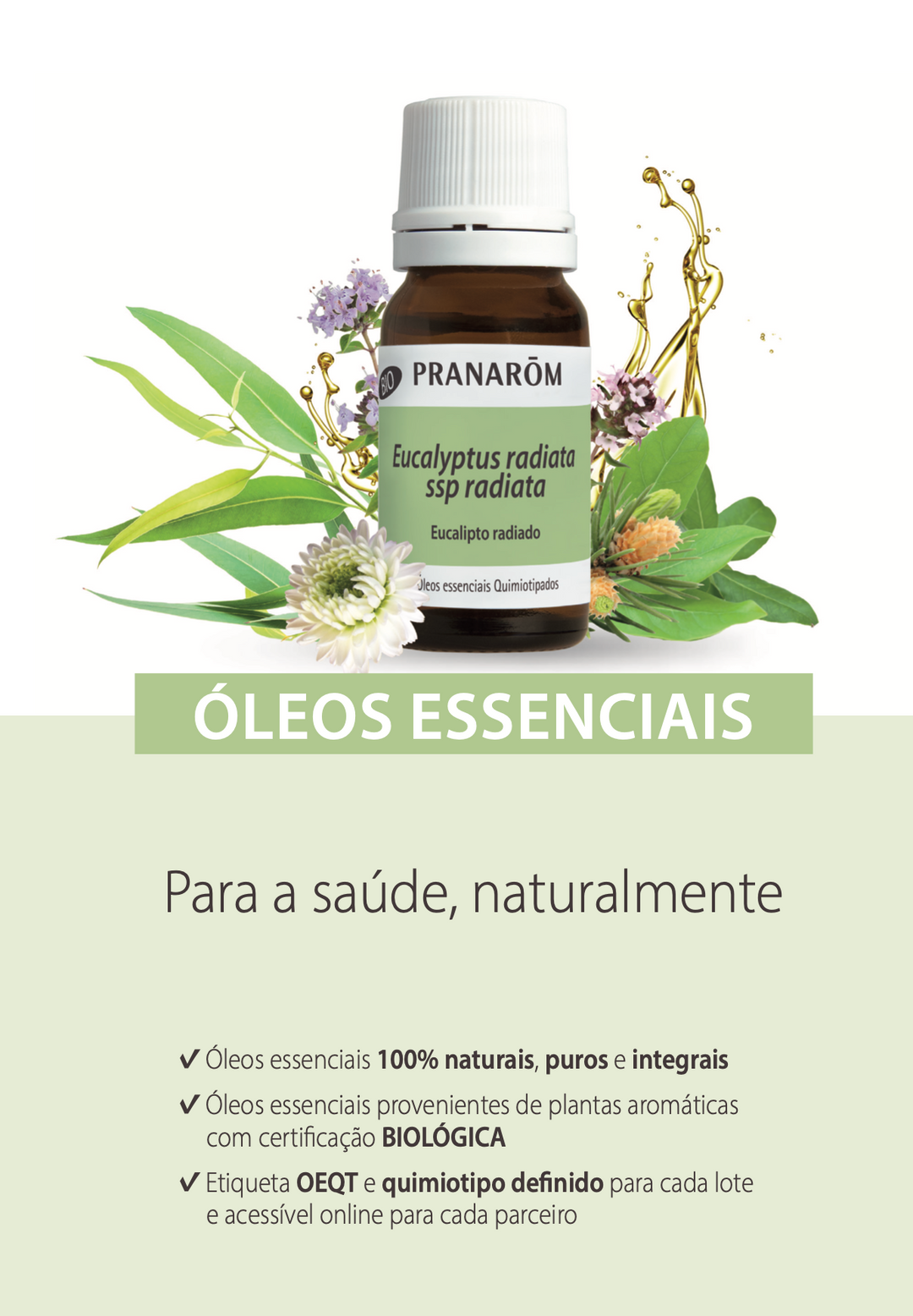 Óleo Essencial Camomila Alemã (Azul) Matricaria recutita 5ml