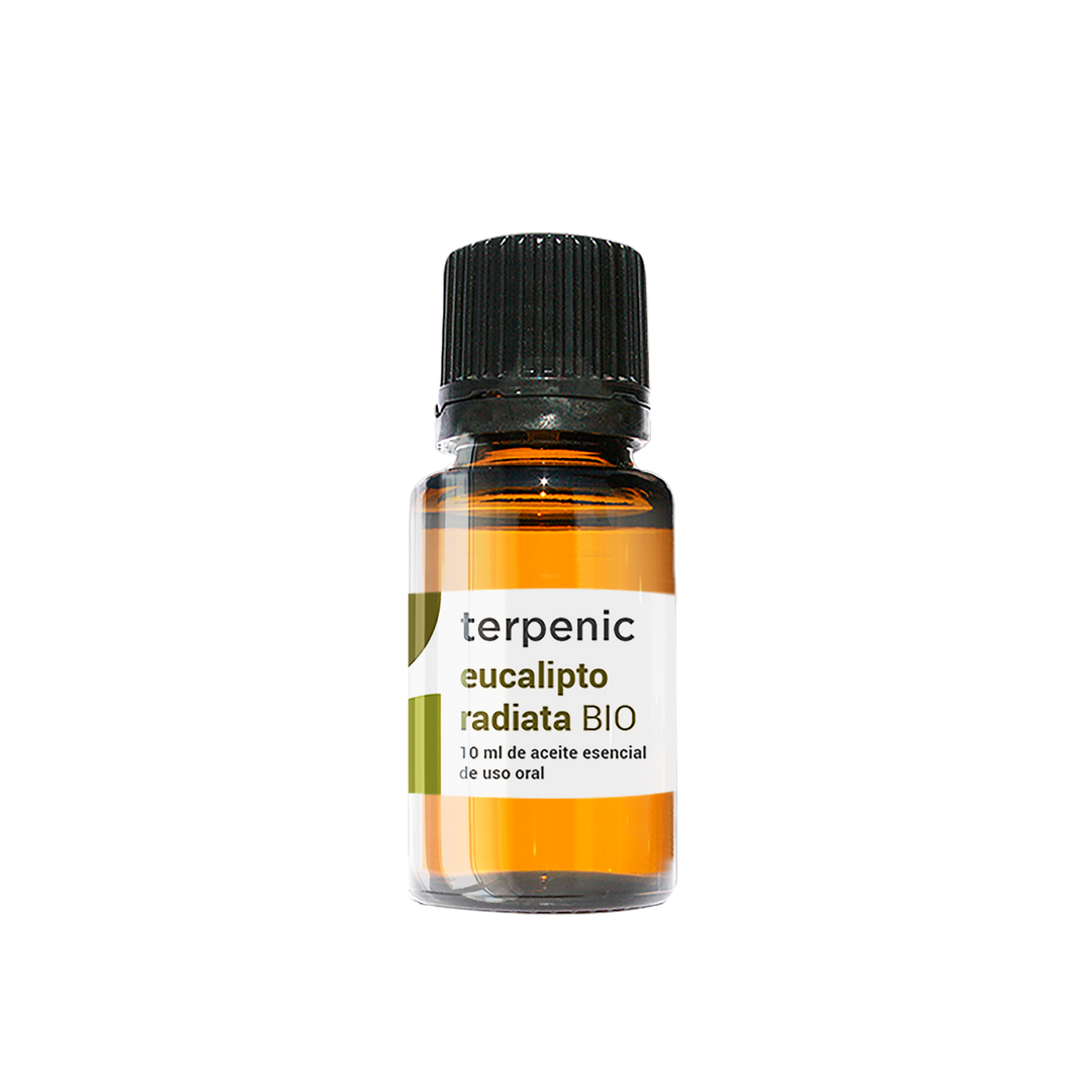 Bio Eucalyptus Radiata Essential Oil 🌿 | Eucalyptus radiata 